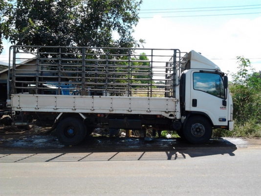 ISUZU ELF NPR 150 HP ปี 51 หัวตึกแล้ว กระบะคอกเหล็กยาว 5.20 เมตร ภายในสวยใหม่ครบ แอร์เย็น พวงมาลัยเพาเวอร์ ช่วงล่างใหญ่ยาง 8.25 ขอบ 16" สภาพดี เอกสารทะเบียนภาษีครบไม่มีขาดพร้อมโอนครับ