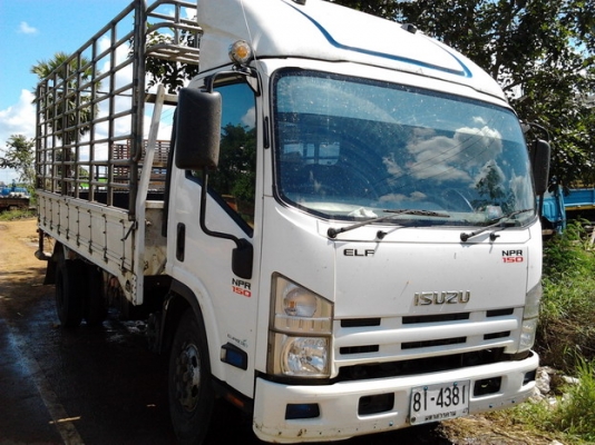 ISUZU ELF NPR 150 HP ปี 51 หัวตึกแล้ว กระบะคอกเหล็กยาว 5.20 เมตร ภายในสวยใหม่ครบ แอร์เย็น พวงมาลัยเพาเวอร์ ช่วงล่างใหญ่ยาง 8.25 ขอบ 16" สภาพดี เอกสารทะเบียนภาษีครบไม่มีขาดพร้อมโอนครับ