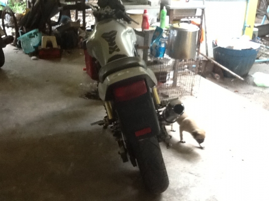 ขาย cb400 (ลดสุดๆกันเลยเหลือ57,000สนใจมาดูรถได้เลยครับ)