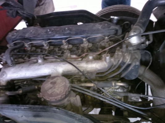 รถอิซูซุ 6 ล้อ รั่ว 175 แรงม้า  สนใจติดต่อ 081-6079515