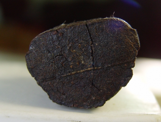 ให้เช่าหลวงปู่ทวด ให้เช่าหลวงปู่ทวด