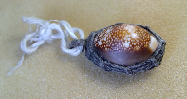 ให้เช่าเบี้ยแก้