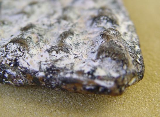 ให้เช่าพระกรุ มหาสารคาม ให้เช่าพระกรุ มหาสารคาม