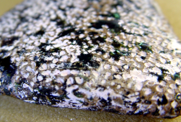 ให้เช่าพระกรุ มหาสารคาม ให้เช่าพระกรุ มหาสารคาม