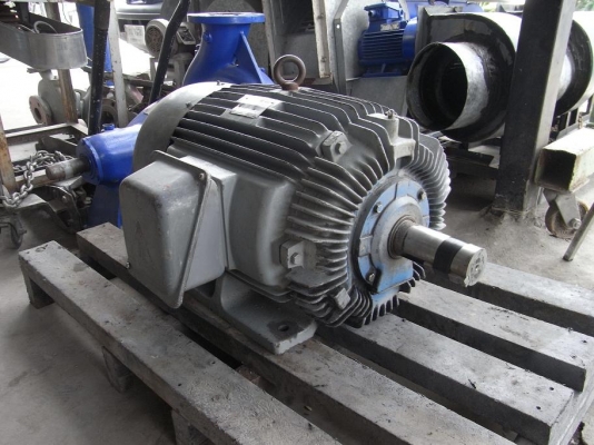 ขายมอเตอร์ TECO 50 HP. 1400 RPM. สภาพสวย พร้อมใช้งาน รับประกันคุณภาพ ขายมอเตอร์ TECO 50 HP. 1400 RPM. สภาพสวย พร้อมใช้งาน รับประกันคุณภาพ