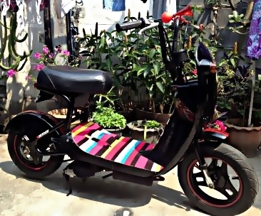 ขาย Choi nori หล่อๆครับ