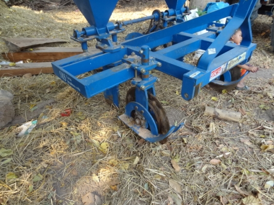 ขายลิปเปอร์ฝังปุ๋ยของศรีกำแพงแสน ขายลิปเปอร์ฝังปุ๋ยของศรีกำแพงแสน