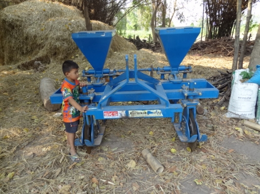 ขายลิปเปอร์ฝังปุ๋ยของศรีกำแพงแสน