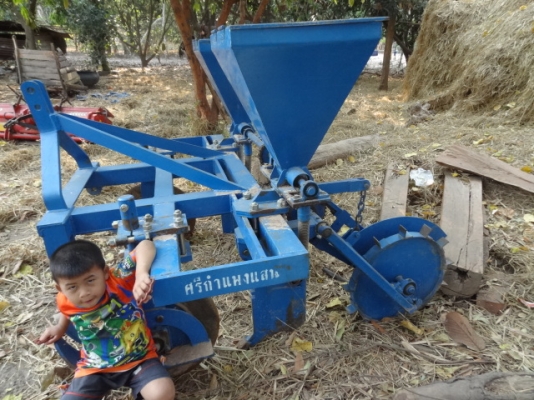 ขายลิปเปอร์ฝังปุ๋ยของศรีกำแพงแสน ขายลิปเปอร์ฝังปุ๋ยของศรีกำแพงแสน