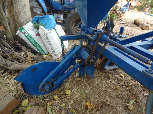 ขายลิปเปอร์ฝังปุ๋ยของศรีกำแพงแสน ขายลิปเปอร์ฝังปุ๋ยของศรีกำแพงแสน