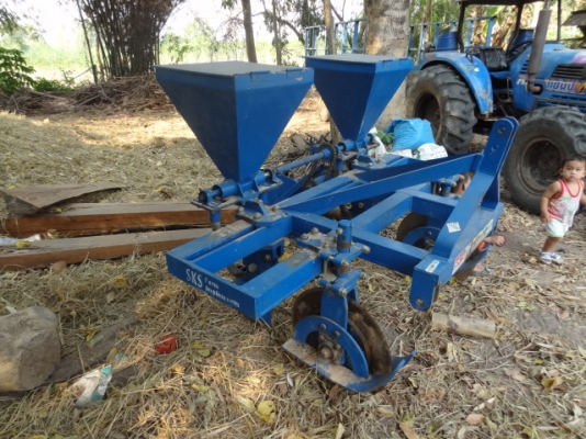 ขายลิปเปอร์ฝังปุ๋ยของศรีกำแพงแสน ขายลิปเปอร์ฝังปุ๋ยของศรีกำแพงแสน