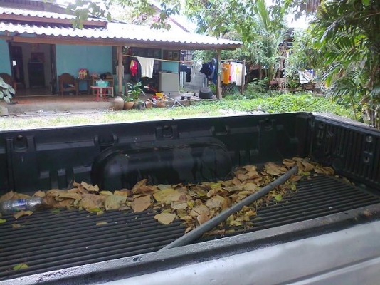 กระบะฟอร์ด หัวเดียว ปี 99 พีเพาเวอร์ ขายตามสภาพค่ะ