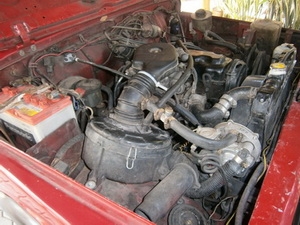 ขายคารเบียน