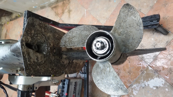 Honda50four PowerTrim.