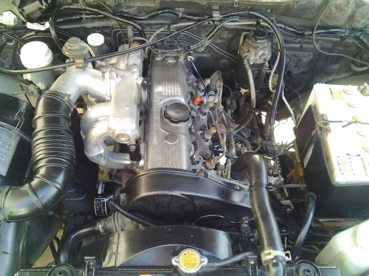 สตร้าด้าหัวเดียวสวยๆมาพร้อมเลขทะเบียนสวยๆ สตร้าด้าหัวเดียวสวยๆมาพร้อมเลขทะเบียนสวยๆ