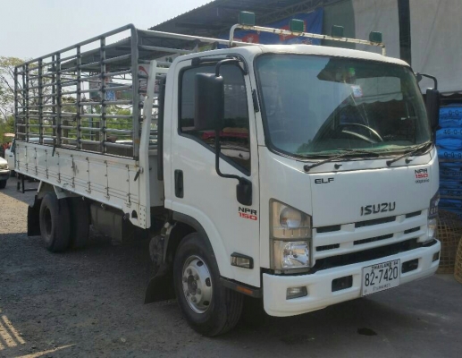 หกล้อ อีซูซุ NPR150ปี54ช่วงยาว5ม สภาพดีสวยรถใช้งานน้อย วิ่ง 180××× กม รถพร้อมใช้งาน ทะเบียนพร้อมโอน หกล้อ อีซูซุ NPR150ปี54ช่วงยาว5ม สภาพดีสวยรถใช้งานน้อย วิ่ง 180××× กม รถพร้อมใช้งาน ทะเบียนพร้อมโอน
