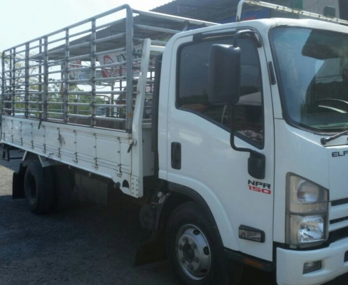 หกล้อ อีซูซุ NPR150ปี54ช่วงยาว5ม สภาพดีสวยรถใช้งานน้อย วิ่ง 180××× กม รถพร้อมใช้งาน ทะเบียนพร้อมโอน หกล้อ อีซูซุ NPR150ปี54ช่วงยาว5ม สภาพดีสวยรถใช้งานน้อย วิ่ง 180××× กม รถพร้อมใช้งาน ทะเบียนพร้อมโอน