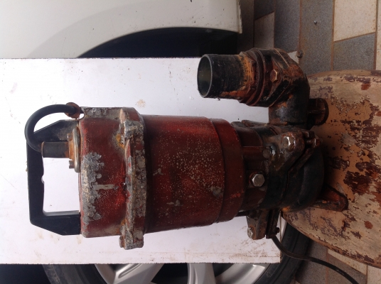 ไดโว่ ตัวใหญ่ขายถูก2500บาท