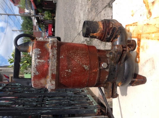 ไดโว่ ตัวใหญ่ขายถูก2500บาท