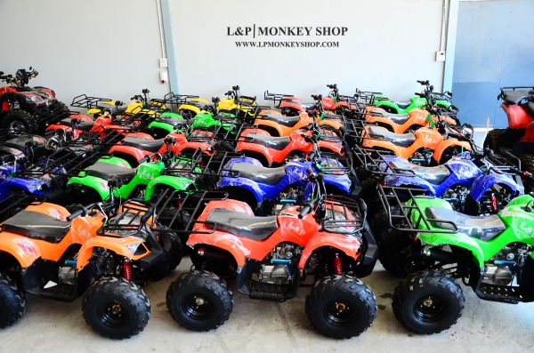 ราคาถูก 29000 บาท แต่มีสิ่งพิเศษมากมาย ATV MINI รุ่นใหม่ล่าสุด 110cc มีสวิทไฟบอกเกียร์ สุดพิเศษ โปรโมชั่นนี้พิเศษจริงๆ กับ ปี2559