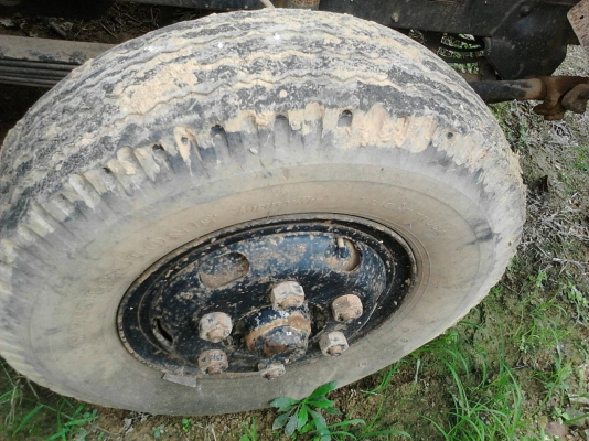 รถอีซูซุ 6 ล้อ ( ไม่ดั้ม ) 175 แรงม้า. ( รถประกอบ. )    สนใจติดต่อ  081 - 6079515