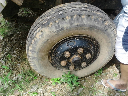 รถอีซูซุ 6 ล้อ ( ไม่ดั้ม ) 175 แรงม้า. ( รถประกอบ. )    สนใจติดต่อ  081 - 6079515