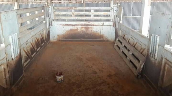 ขายด่วนลูกพ่วงไม่ดั้มสามมิตรปี45สภาพสวยพร้อมใช้ ยาว6.50เมตร สูง1.90