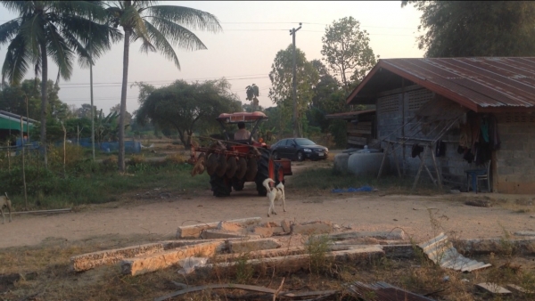 รถไถ KUBOTA L4708 (ราคา3ุ68,000 บาท) มีภาพวีดีโอ เครื่องดี สภาพสวยเดิมๆ อายุการใช้งาน 901 พร้อมอุปกร