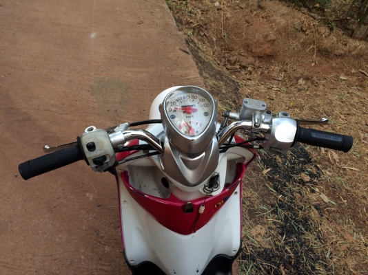 ฟีโน่ ฟีโน่