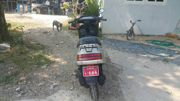 Honda tact50cc(af24ข้อใหญ่)