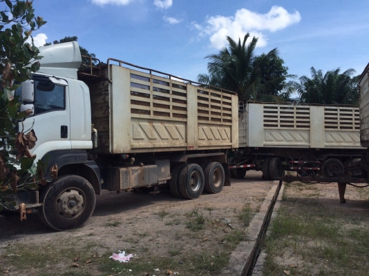 ขายดาวน์รถ22ล้อดั้มพ์ ISUZU MP1FXZ7779T เครื่อง360แรงม้ากับหาง SMM ปี52 สนใจโทร 081-970-1072