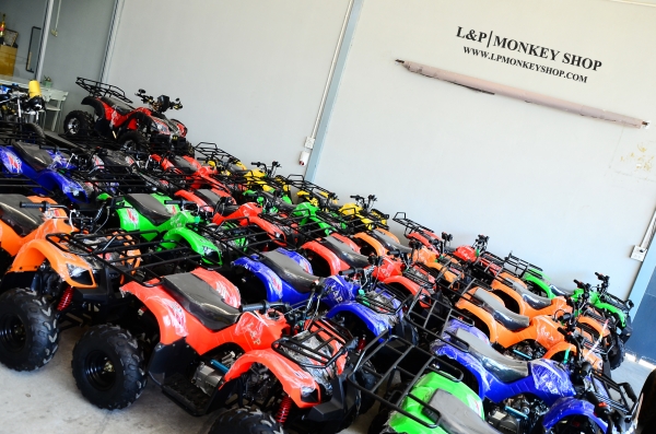 ราคาถูก 29000 บาท แต่มีสิ่งพิเศษมากมา ATV MINI รุ่นใหม่ล่าสุด 110cc มีสวิทไฟบอกเกียร์ สุดพิเศษ โปรโมชั่นนี้พิเศษจริงๆ กับ ปี2559