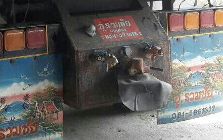 ขาย สิบล้อสวยๆ อีซูซุ ร็อค FXZ126A 210โบว์อินเตอร์ สโลส 2เพาใหญ่ ดั้มมีเนียม สภาพพร้อมใช้ สวยกริ๊ปบางเดิมเหลี่ยมทั้งคัน เล่มทะเบียนพร้อมโอน