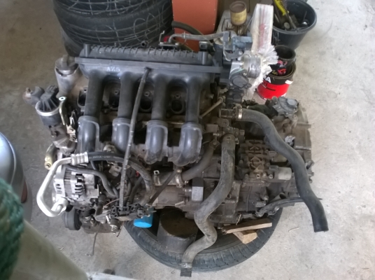 ขายซาก City แมงสาบพร้อมเล่ม ขายซาก City แมงสาบพร้อมเล่ม