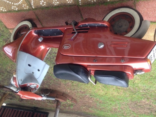 ขาย fuji rabbit