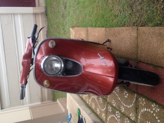 ขาย fuji rabbit