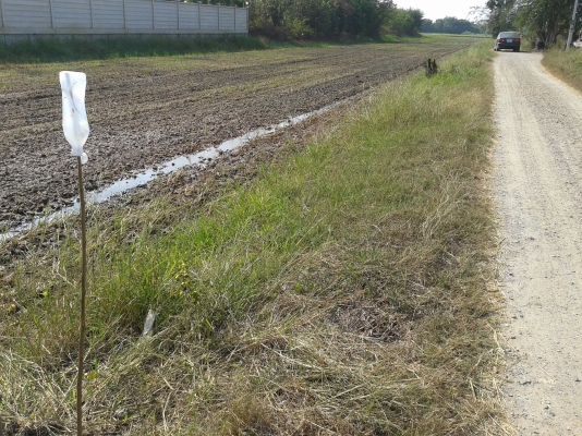 ขายที่เปล่า 98 ตารางวา อ.เมือง จ.นครปฐม