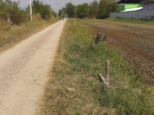 ขายที่เปล่า 98 ตารางวา อ.เมือง จ.นครปฐม