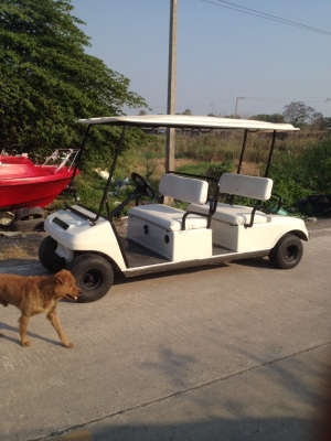 ขายรถกอล์ฟเครื่องนำเข้า