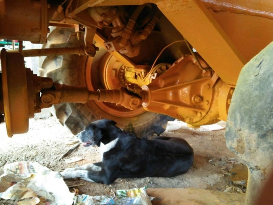 ขายรถตักล้อยาง PAYLOADER JH30 สภาพพร้อมใช้งาน สนใจโทร 090-8588220คุณนะ 093-3258446คุณบิว หรือเข้าดูสินค้าอื่นๆได้ที่ www.truck.in.th/498 หรือเพจFacebook ณรงค์ ซื้อขายรถมือสอง (เว็บไซต์ส่วนตัว) หรือFacebook คุณนะ รถบรรทุก