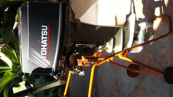 Tohatsu30hp2t