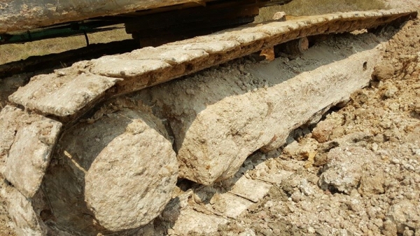 ขายรถขุดแบ็คโค SK120-5มาร์คไฟว์ ไฟฟ้าครบช่วงล่างดี เอวแน่น หน้าจอครบโหมดใช้งานปกติ เอวแน่น บูมสวยเดิม