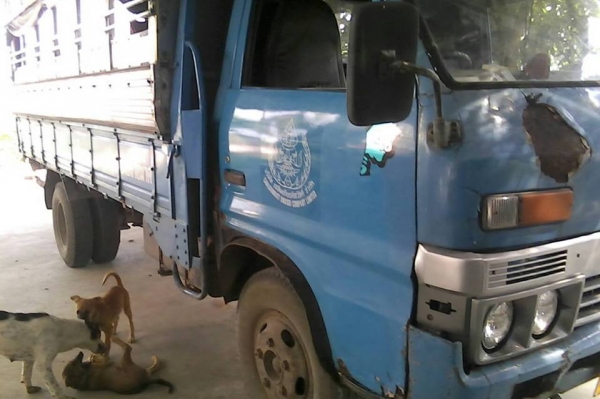 ขายรถ6ล้อ โดยสารISUZU TL100แรง เครื่องดีแคชซีสวย ยาว4.30เมตร สภาพพร้อมใช้งาน เอกสารพร้อมโอน สนใจโทร 090-8588220คุณนะ 093-3258446คุณบิว หรือเข้าดูสินค้าอื่นๆได้ที่ www.truck.in.th/498 หรือเพจFacebook ณรงค์ ซื้อขายรถมือสอง (เว็บไซต์ส่วนตัว) หรือFacebook คุณ