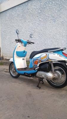 Scoopy i รถบ้านแท้ เจ้าของคนเดียว ภาษีพรบ 59