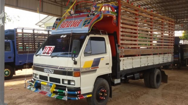 ISUZU NPR115 รถห้างแท้ รถสีเดิม เครื่องดี ขับดี ครัทซีสวย รถพร้อมใช้งาน