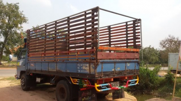 ISUZU NPR115 รถห้างแท้ รถสีเดิม เครื่องดี ขับดี ครัทซีสวย รถพร้อมใช้งาน