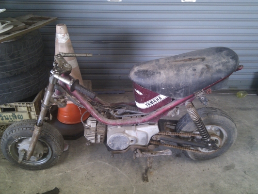 ขายซากchappy