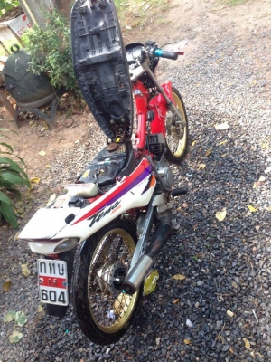 ปรับการขายรถจักรยานยนต์ HONDA TENA เครื่องดีสตาร์ทติดง่าย คู่มือมีเอกสารครบ
