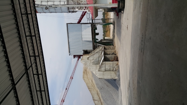 ขายแพล้นปุน