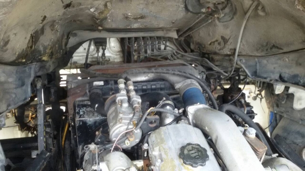 ขายแล้วครับ. ขายแล้วครับ.